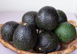 Products: Autumn Set Avos – 10 Pack