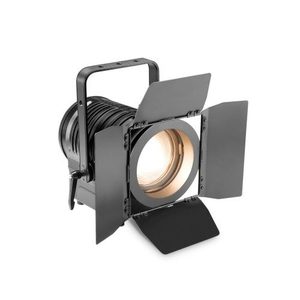 Products: Theatre Spotlight with Fresnel Lens and 100 Watt Warm White LED in Black Housing