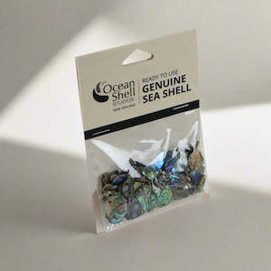 New Arrivals: TUMBLED PAUA SHELL PIECES