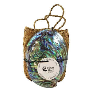 Premium Paua Shell in Kete Bag