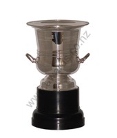 Silver wine cooler 28cm