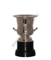 Silver wine cooler 25cm