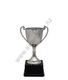 Nickel plated classic cup 15cm