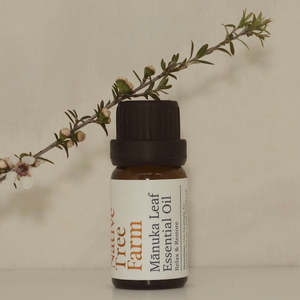 Manuka Leaf Essential Oil (10ml) - Native Tree Farm