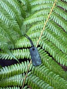 All: Freeform Pounamu Pendant - 1