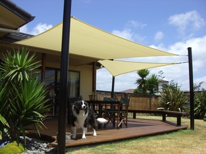 Uncategorised: Shade Sail