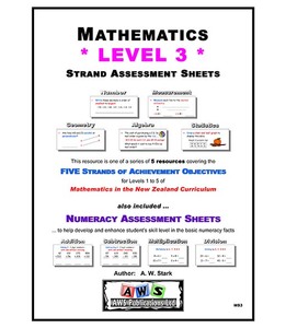 Products: MS3: Single Level Assessment Series – Book 3 – AWS Publications