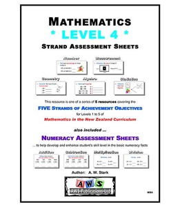 MS4: Single Level Assessment Series – Book 4 – AWS Publications
