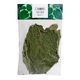 Hoja Santa (Dried Sacred Leaf) 20g