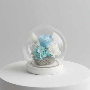 Homeware: White & Blue Round Dome with lights