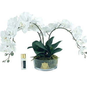 Cote Noire: ORCHID BOUQUET - IVORY WHITE & GOLD BADGE - OOV01
