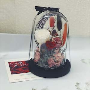 Glass Domes- Ruby Wood