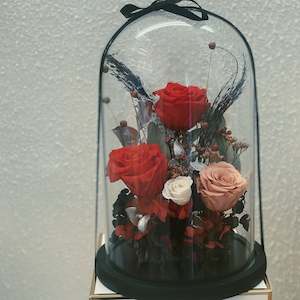 Giftboxes: Glass Domes- Secret Rose Garden