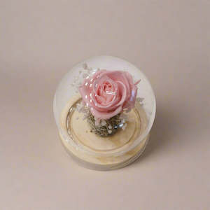 Dried Flower Bouquet: Eternal Single Rose Dome - With Seed Lights
