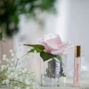 About You: Côte Noire Perfumed Natural Touch Single Rose - Clear- French Pink - GMR06