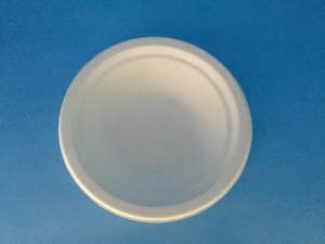 Plates Biodegradable Compostable: Sugarcane Desert Bowl 300ml 50/slv 1000/ctn