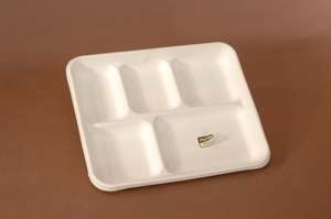 Biodegradable Compostable Trays: Bio 6 Compartment Tray 315x220x28 125/slv 250/ctn