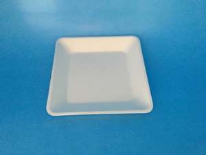 Biodegradable Compostable Trays: Bio Produce Tray 14x14x2cm 125/slv 1000/ctn