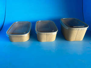 PET Clear Lid for PRC500-1000 178x129x9 300/ctn