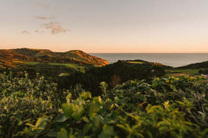 Ayurvedic Retreats: SPRING RESET - An Ayurveda Day Retreat at Kula Muriwai