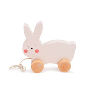 Activity Toys: Bubble Wooden Rabbit Pull Along