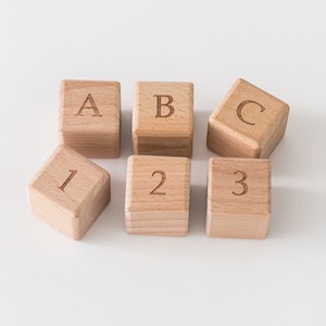 My First ABC/123 Block Set