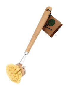Cleaning: Dish Brush 50mm Tampico
