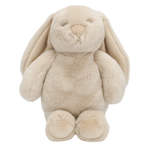 Flopsy Bunny Biscuit