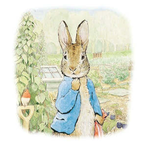 Card Peter Rabbit in the Garden