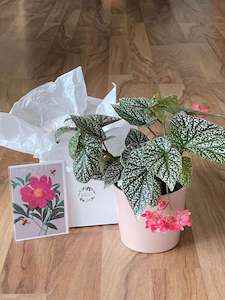 Gift pack: Botanical Bliss Gift Bundle