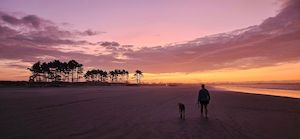 Groundbreaking Study Highlights Mental Health Benefits of Chiropractic Care