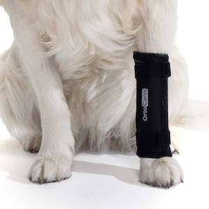 Canine: Dog Carpal Brace - by Ortocanis