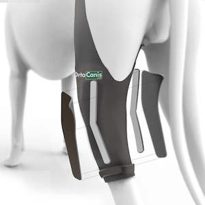 Canine: Dog Immobilizer Brace for Cruciate Ligament / Knee - by OrtoCanis