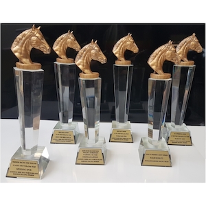 Trophies: Crystal Horse trophies
