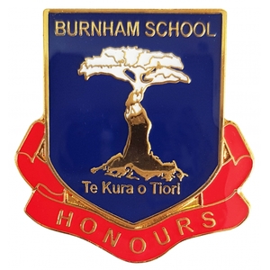 High School Badges For Sale: Sch 05