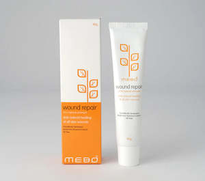 Ulcer Treatments: Mebo Wound/Ulcer Repair Oint. 40g