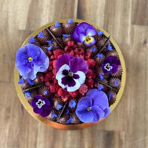 Dark Chocolate & Raspberry (vegan or GF available)