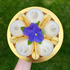 Frontpage: Lemon, Meringue & Raspberry (GF available)