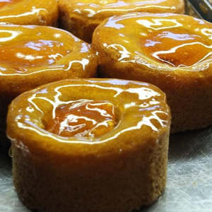 Apricot Rondos