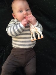Babies: Bodysuits