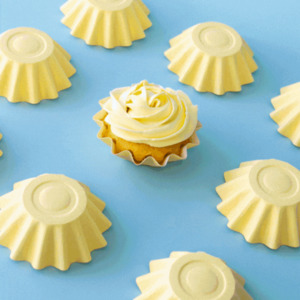 Papyrus Bloom Pastel Baking Cups 24pk