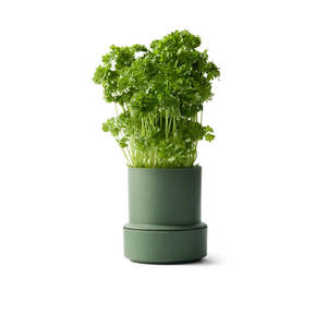 Billund Self-Watering Herb Keeper Pot Parsley