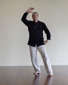 Products: Qigong and Taichi Workshop - Monshah Healing