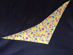 Products: Happy birthday bandana - The Balanced Dog