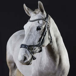 Sale: GFS Premier Alpine Bridle