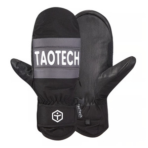TaoTech Entry Mittens - Black