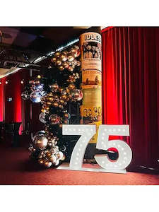 Giant 75 Light up number hire