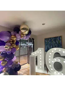 Arch mesh with balloons garland and light up numbers