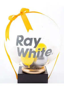 Corporate Balloon Packages: Corporate balloon gift