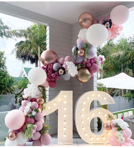 Light Up Number Hire: Giant 16th Light up number hire in Auckland| Sweet 16th birthday decorations
